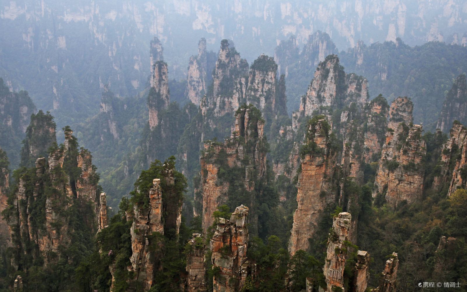 張家界國家森林公園+鳳凰古城+大峽谷4天3晚“刺激浪漫”